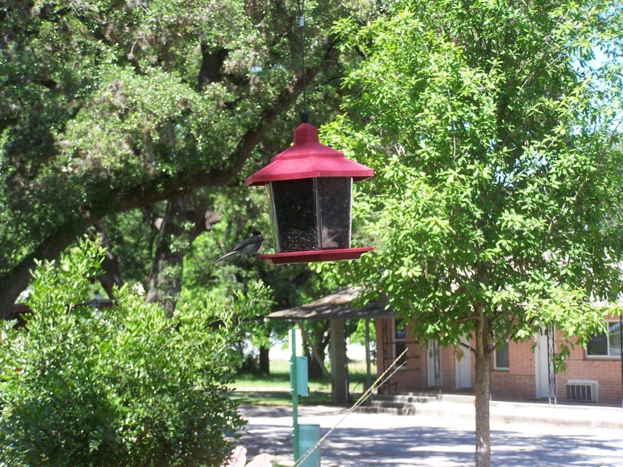 Blanco County Inn & Guesthouses מראה חיצוני תמונה
